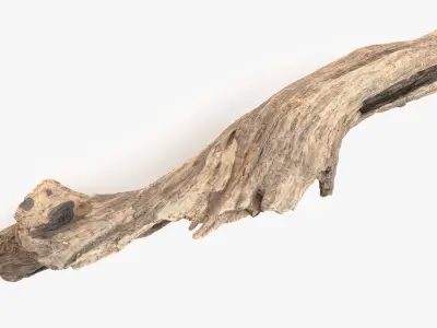 Snag Root Hideout Low-poly 3D model