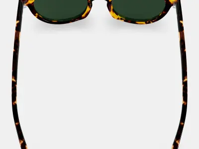 Taye Sunglasses in Black Oak Tortoise 3D model