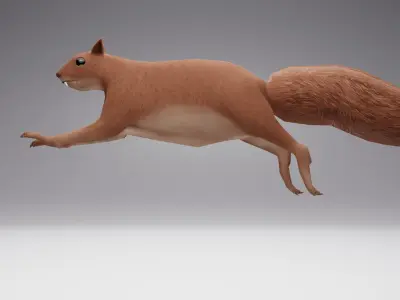 Low Poly Squirrel 3D model with texture and Rigg Low-poly 3D model