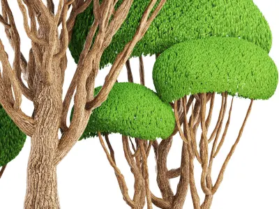 bonsai tree  3D model