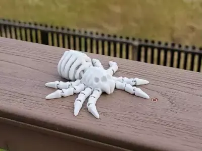 Flexi Spider skeleton  3D print model