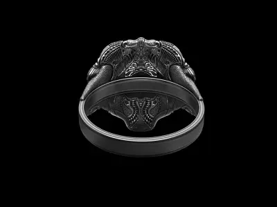 Ring Of Sheen Biomechanics Head 3D printing STL 3D print model  3D print model