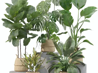 20 Photorealistic Flowers for Interiors - set 209 214 216 219 3D Model Collection