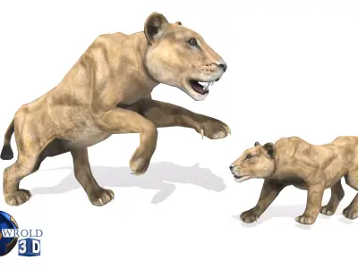 Lion Female Rigged Animated 3D Model Low-poly 3D model