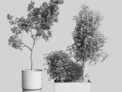 collection Indoor plant 50 vase wood 3D model