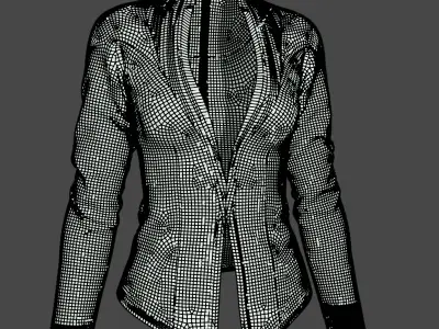 luxurious coat Low-poly 3D model