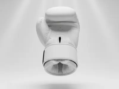 Professional Training Boxing Glove Low-poly 3D model