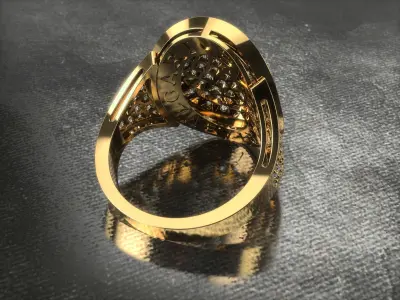 Ring 0213 3D print model