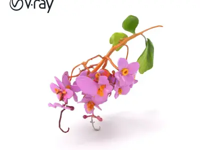 Pink Wisteria Blossom Realistic model pack Low-poly 3D model