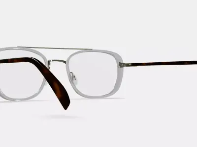 Earle Eyeglasses in Crystal with Riesling 3D model