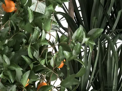 Houseplants in a  flowerpot for the interior 1002 3D model