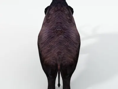 Mammoth woolly with tusks Low-poly 3D model