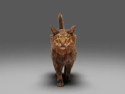 Fur Cat Grey NO Rigged Low-poly 3D model