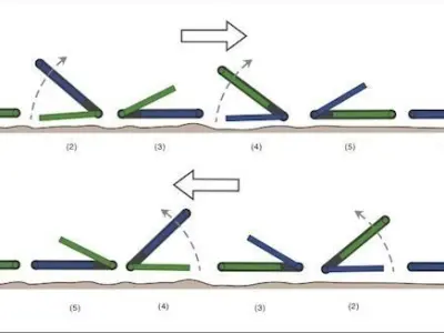 SlinkyBOT Lunar mini rover Free 3D print model