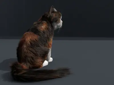Cat Fur Rig 3D model