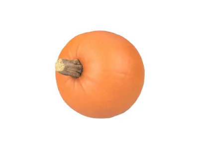 Photorealistic Pumpkin 3D Scan 2 3D model
