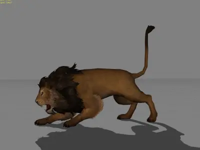 Lion Male Animal Low-poly 3D model