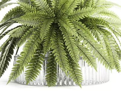 Green floral bouquet fern branches modern glass vase decor 3D model