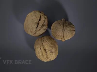 Walnut 003 3D model
