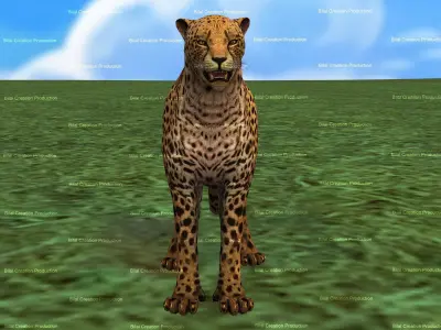 Cheetah Rigged Animated 8 Low-poly 3D model