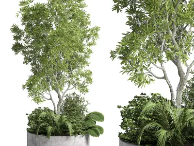 collection outdoor plant 27 garden pot concrete vase 3D model