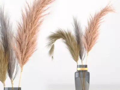Pampas-grass three dried grasses in vase 3D model