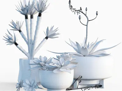 Plants collection 11 3D model