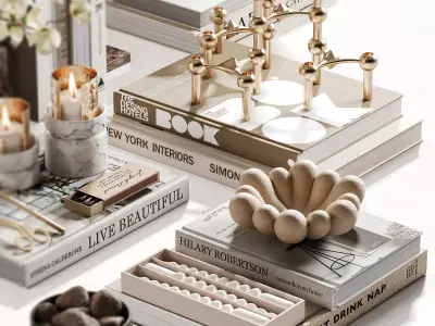 Organic Forms Tabletop Styling With Magnolia 3D model
