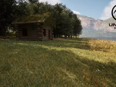 Forest Creator - Follige Ready - Unreal Engine 5 3D model