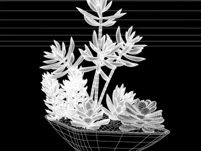 Pot Plant 11 3D model