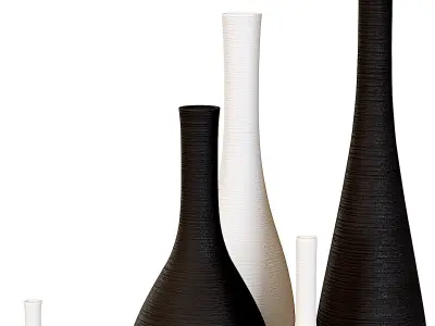 Maenas Artistic Vase Set 3D model