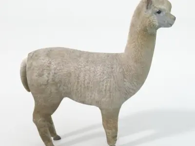 Llama alpaca Low-poly 3D model
