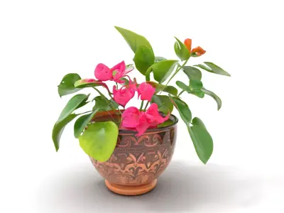 Floral Terracotta Pot model pack Low-poly 3D model