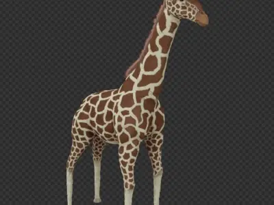 Giraffe Low-poly 3D model 3