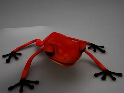Poison Arrow Frog 3D model