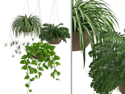 Houseplant 43 3D model
