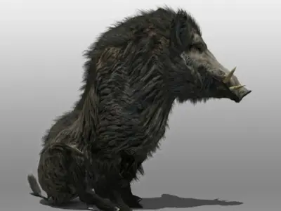 Wild Boar 3D model