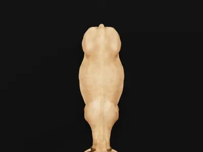 Javan Banteng Cattle 3D model