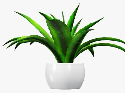Potted plant decorative 04 3D model