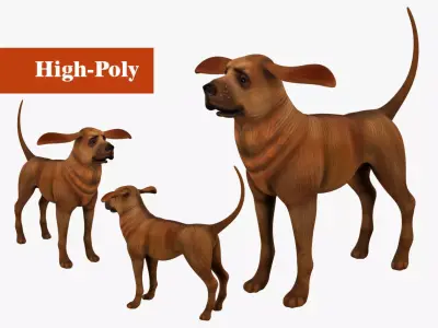 dog  rig  high-poly  textured 3D model
