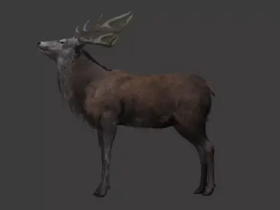 Deer 3D model optimized rigged animated game ready Low-poly 3D model