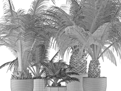 Plants Collection 16 3D model