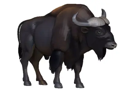 Bison Low-poly 3D model
