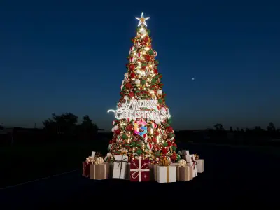 Australia Christmas Tree Concept 3D model