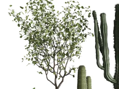 Indoor plant 458 pot plant cactus tree bush in old concrete vase 3D model