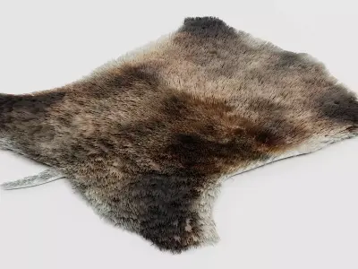 Boar Skin Rug - Realistic Animal Hide 3D model