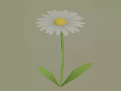 Daisy Flower 3D model