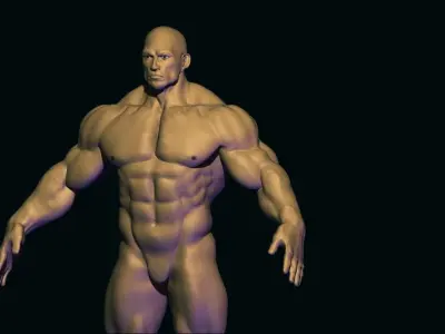 bodybuilder base mesh  Low-poly 3D model