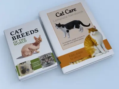 special cat colection Low-poly 3D model