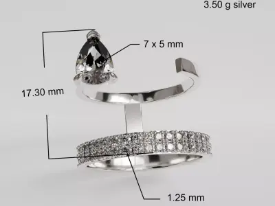 Double ring 3D print model